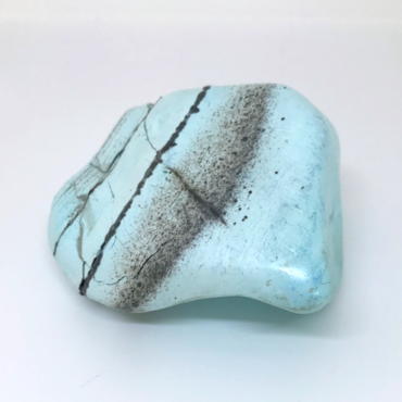 chrysocolle claire